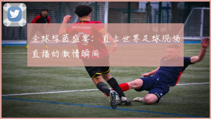 全球绿茵盛宴:直击世界足球现场直播的激情瞬间